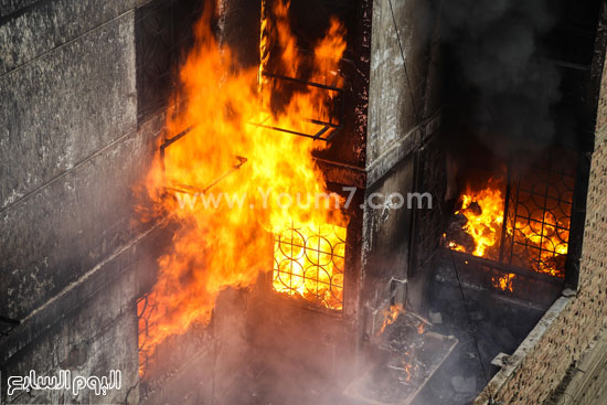 اليوم السابع -8 -2015